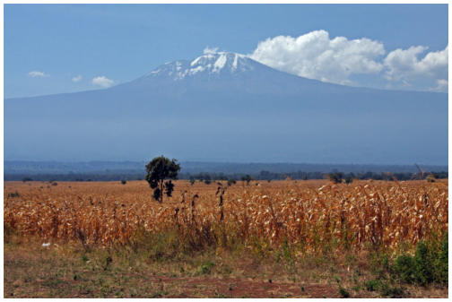 Die ergreifende Schnheit Ostafrikas - der Kilimanjaro