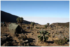 Ein sonniger Morgen im Barranco Camp