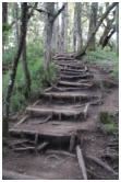 Der Weg zum Mweka Gate fhrt durch einen herrlichen Regenwald