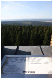 Blick nach WESTEN: Viel Wald
