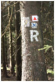 R = Rennsteig