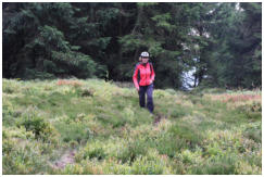 Auf dem Pfad zum TP-Stein