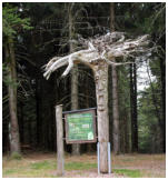 Sagenhaft anmutend