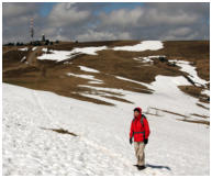 Brigitte im Aprilschnee