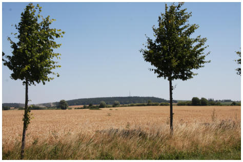 Blick auf den Helpter Berg